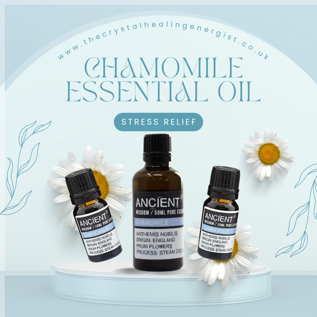 chamomile essential oil image 2