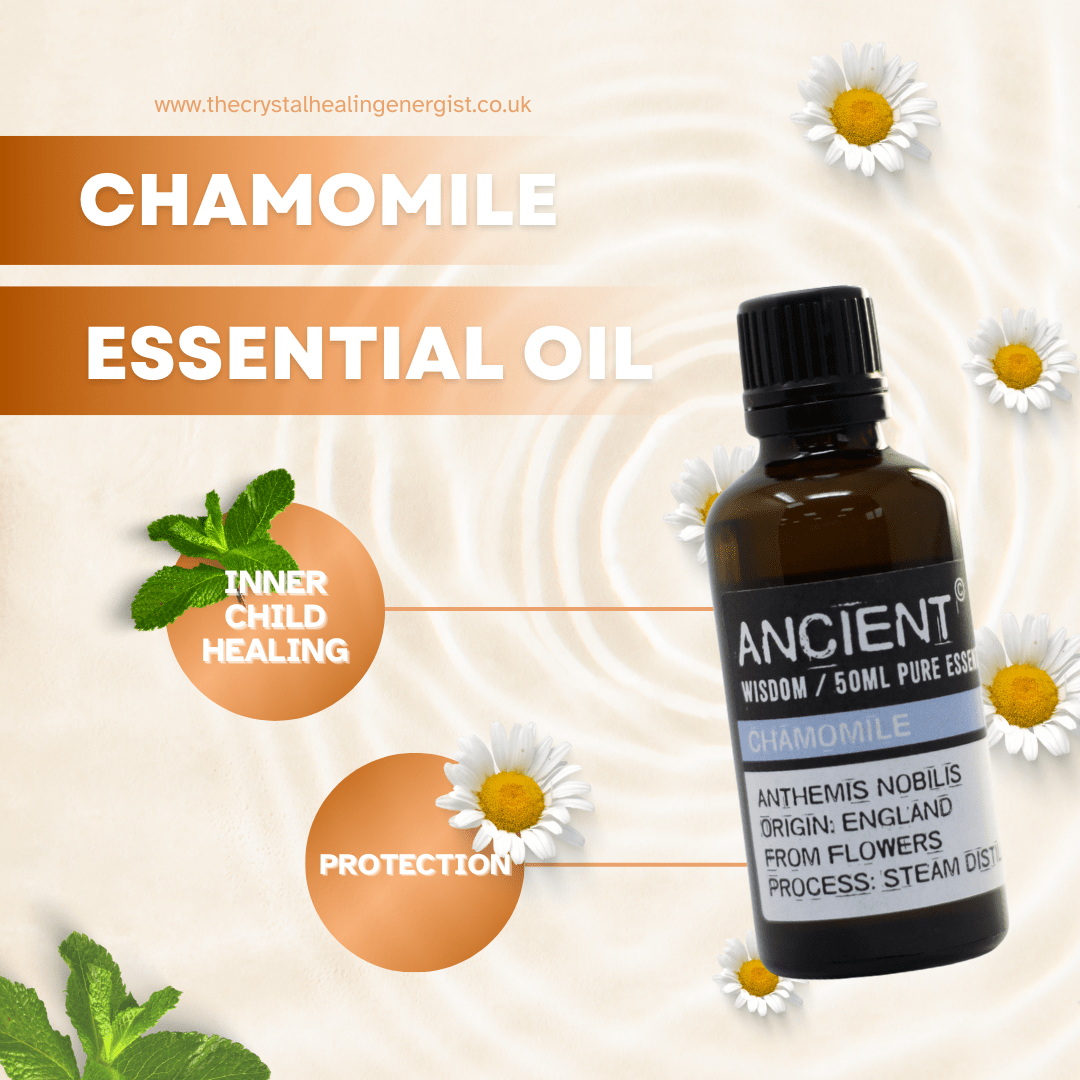 chamomile essential oil image