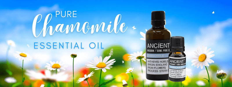 chamomile essential oil poster