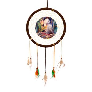 Dreamcatcher (Medium) - Lisa Parker Guardian of Spells Owl