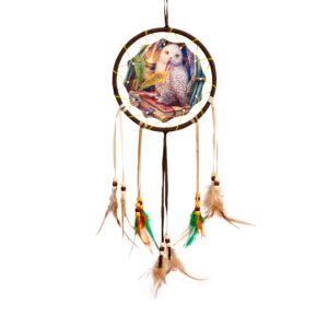 Dreamcatcher (Small) - Lisa Parker Guardian of Spells Owl