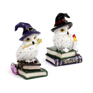 Wise Old Magical Owl - Spell Books