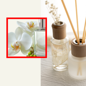 Room Fragrance & Reed Diffusers